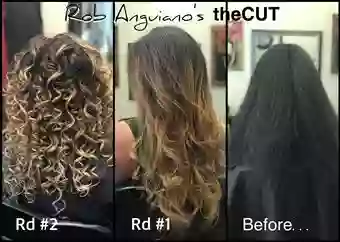 Rob Anguiano's - theCUT @Rogers Premier Salon