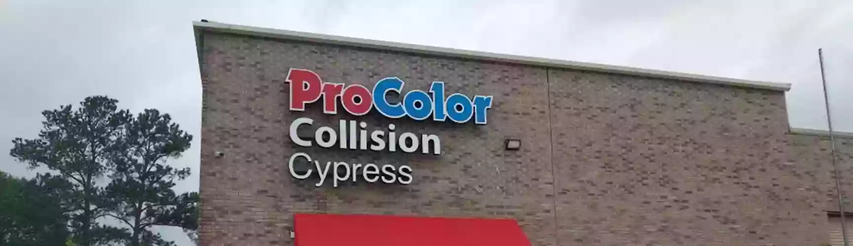 ProColor Collision Cypress