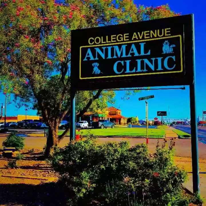 College Avenue Animal Clinic