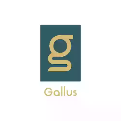 Gallus Medical Detox Centers - San Antonio - Austin