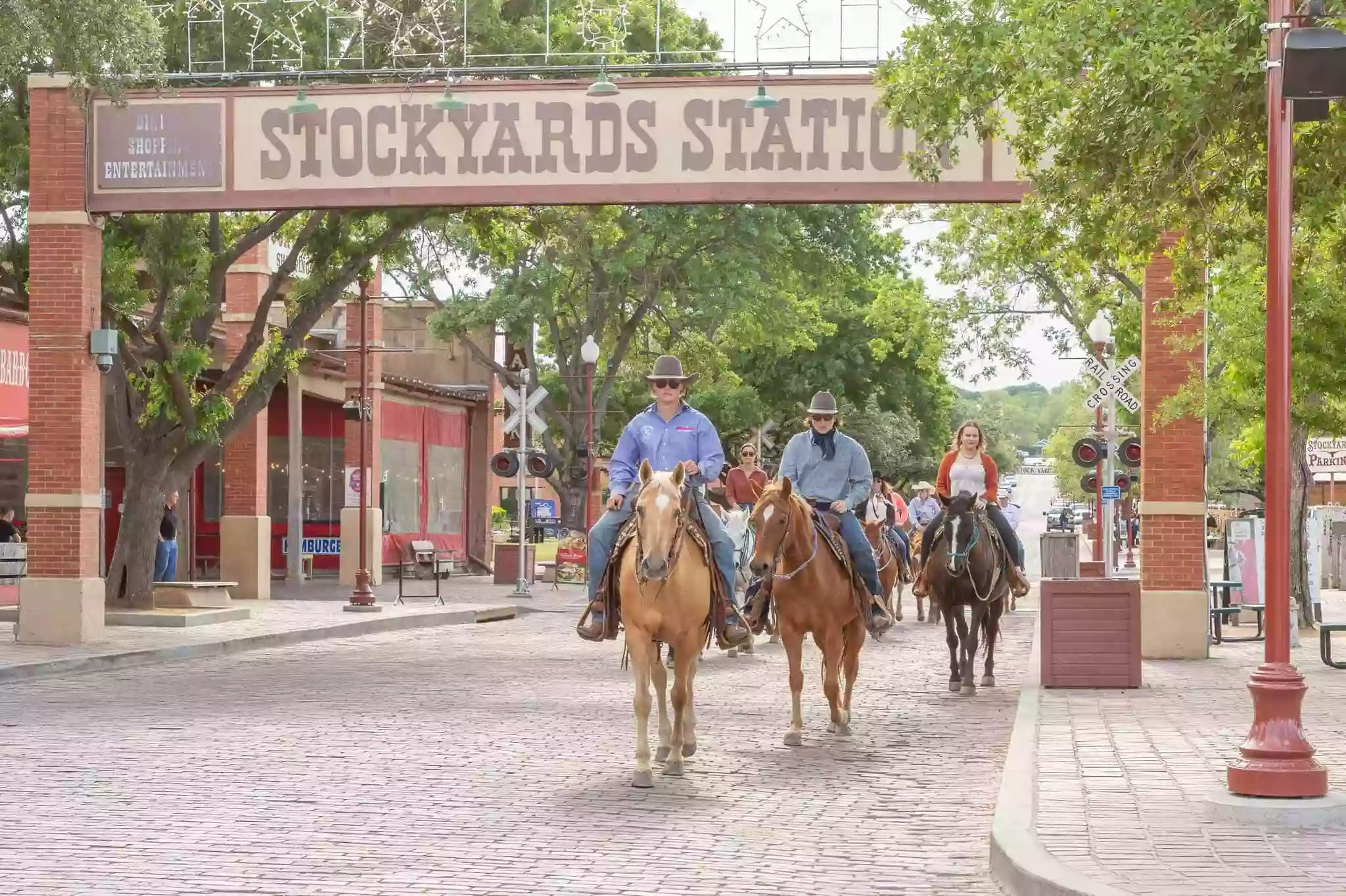 Fort Worth Petting Zoo