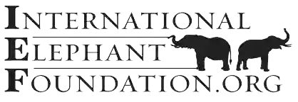 International Elephant Foundation