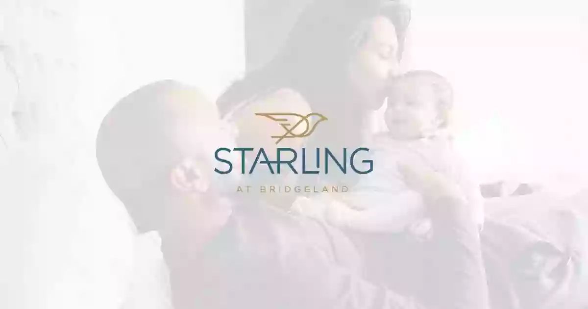 Starling at Bridgeland