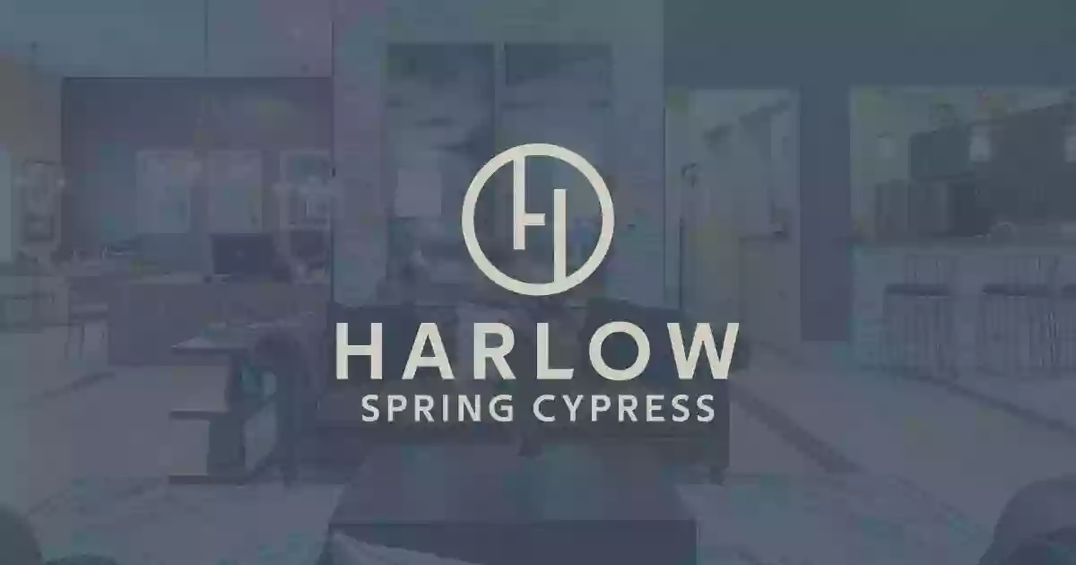 Harlow Spring Cypress