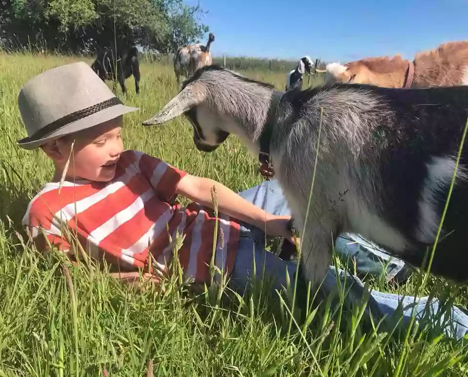 The Goatel on the Chocolate Bayou