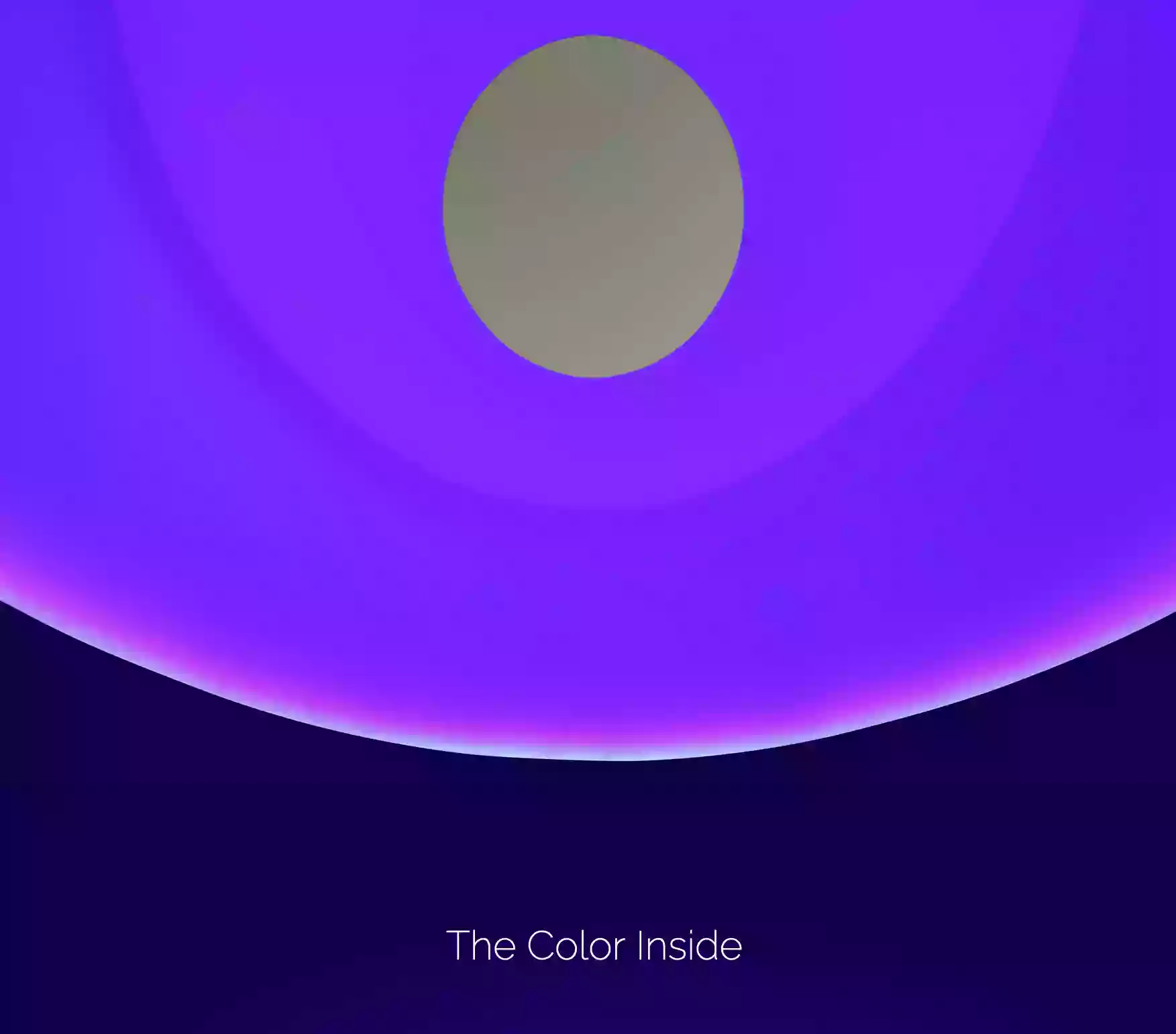 The Color Inside