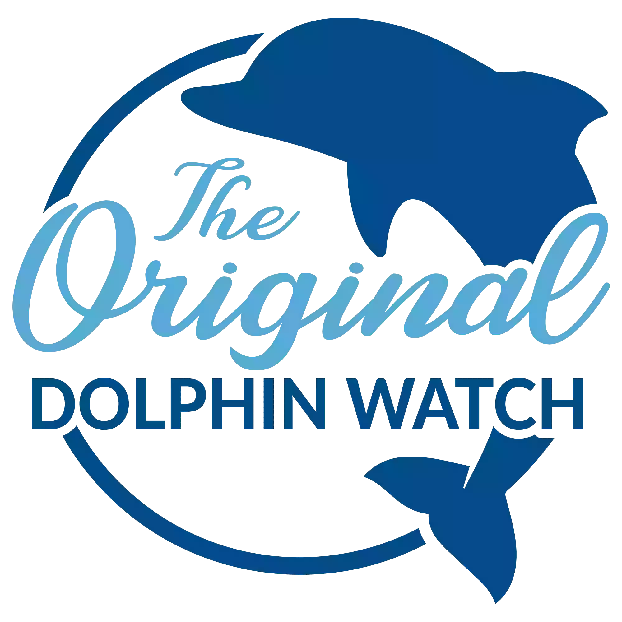 The Original Dolphin Watch