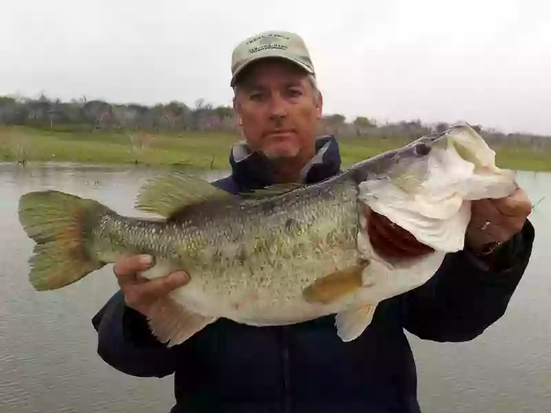 Texas Hawgs Bass Fishing Guide Service