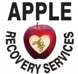 Apple Recovery Services