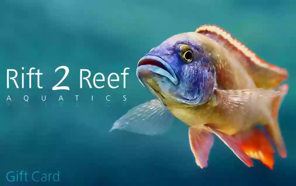 Rift 2 Reef Aquatics