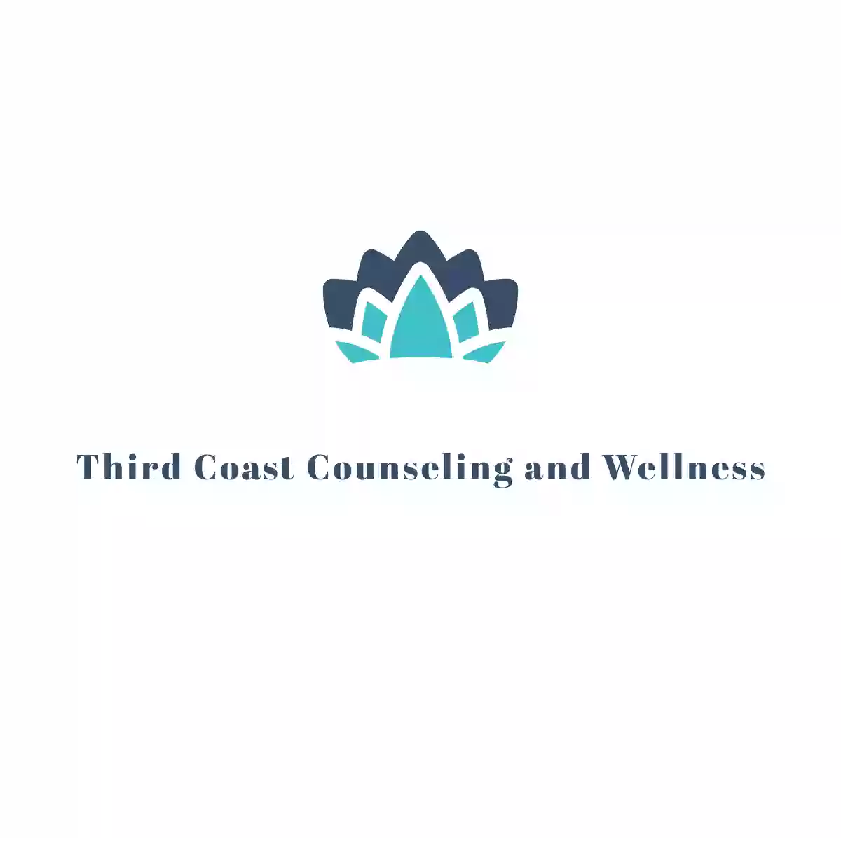 Third Coast Counseling and Wellness