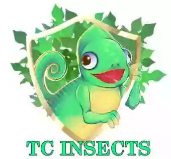 TC INSECTS - Feeder Insects, Isopods, Springtails, Spiders and More - Curbside Order Pick-Up ONLY, No In-Store Shopping