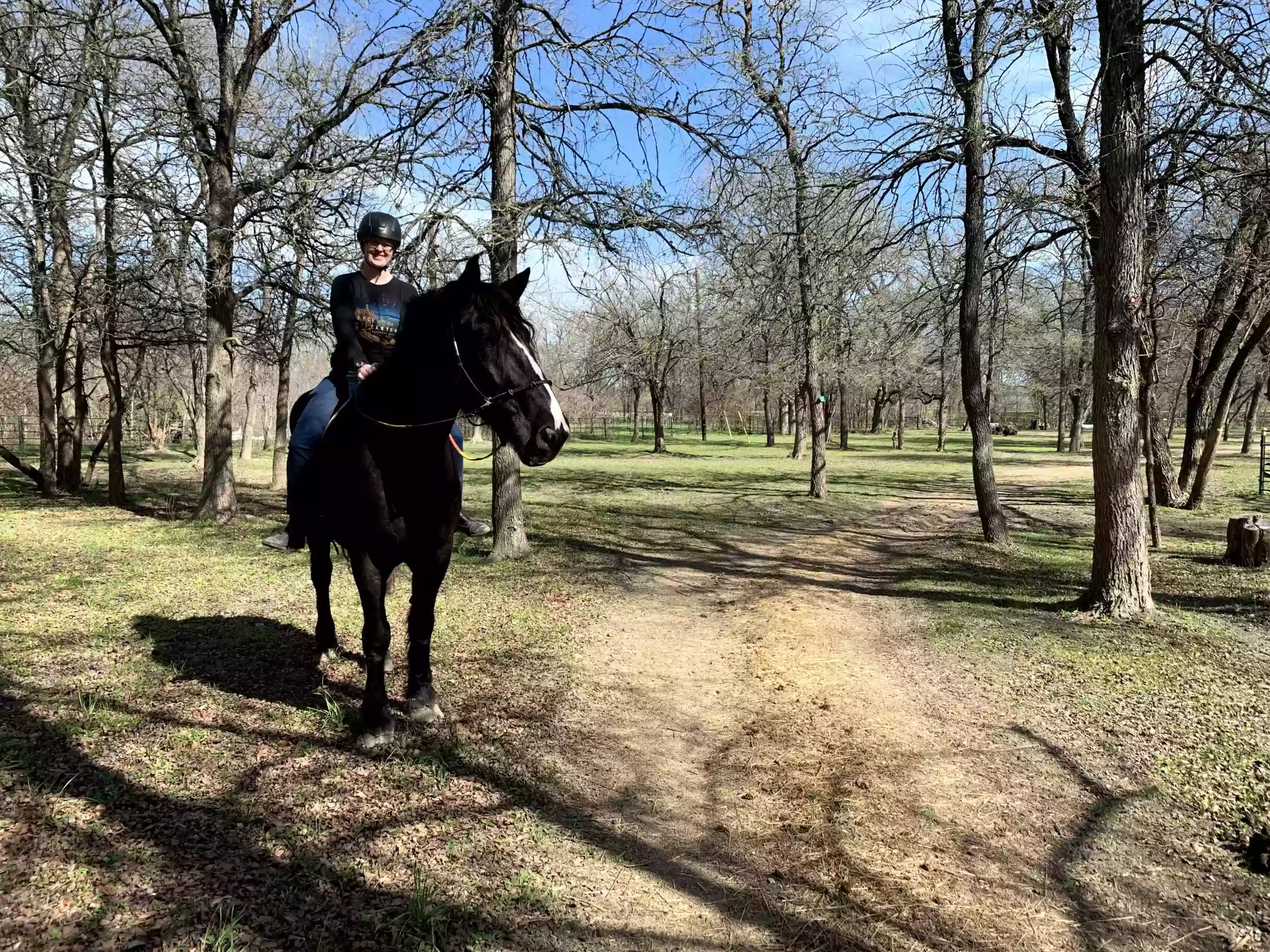 Healing with Horses Ranch