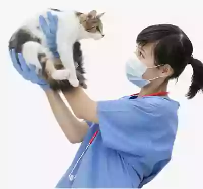 Small Animal Emergency Clinic