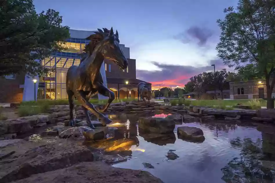 Midwestern State University Distance Learning Support Center