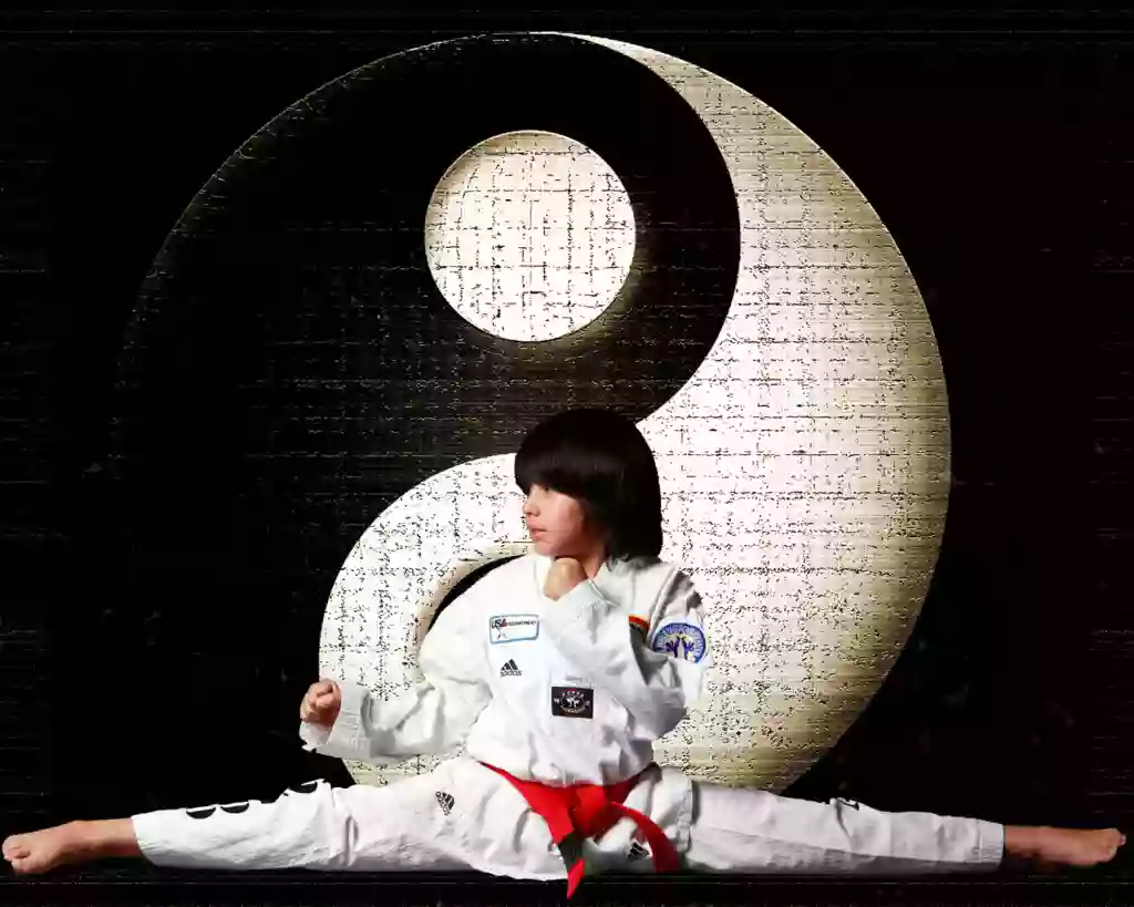 Dallas Tae Kwon Do Center