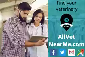 South Texas Veterinary Hospital