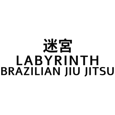 Labyrinth Brazilian Jiu Jitsu Katy