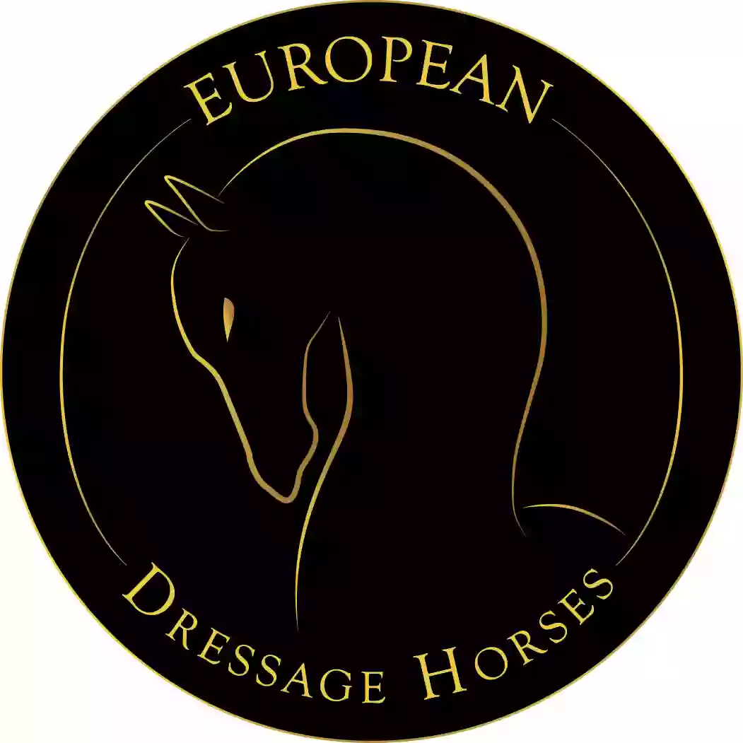 European Dressage Horses