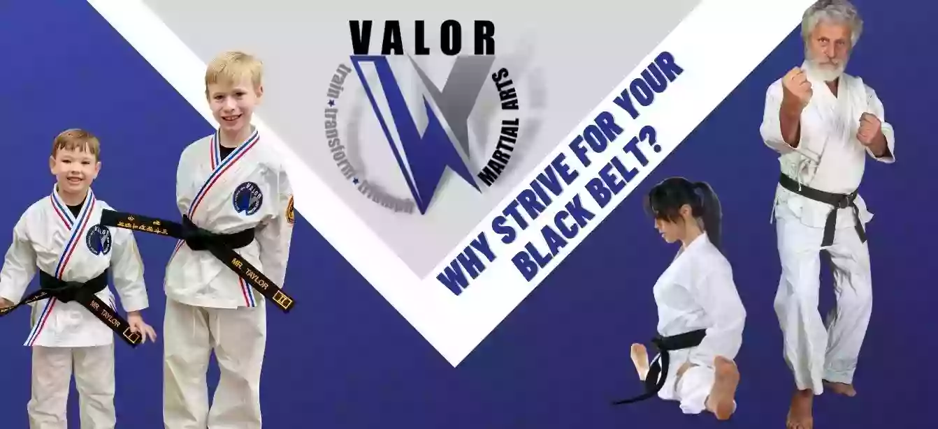 Valor Martial Arts