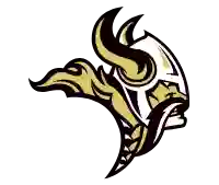 Navarro Vikings