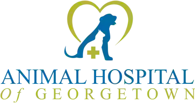 Animal Hospital of Georgetown