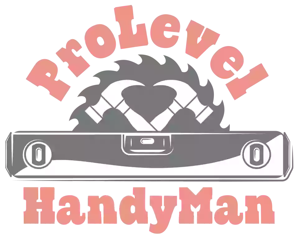 Prolevelhandyman LLC