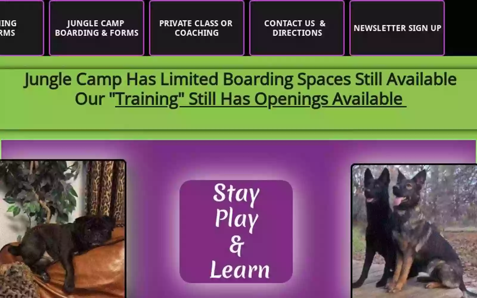 Jungle Camp Pet Resort & Barking Lot Training