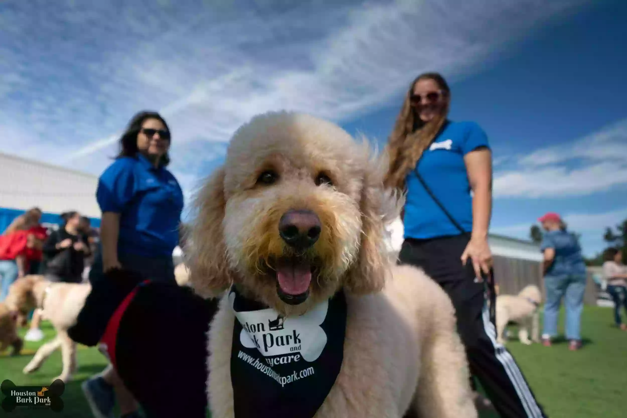 Houston Bark Park and Daycare