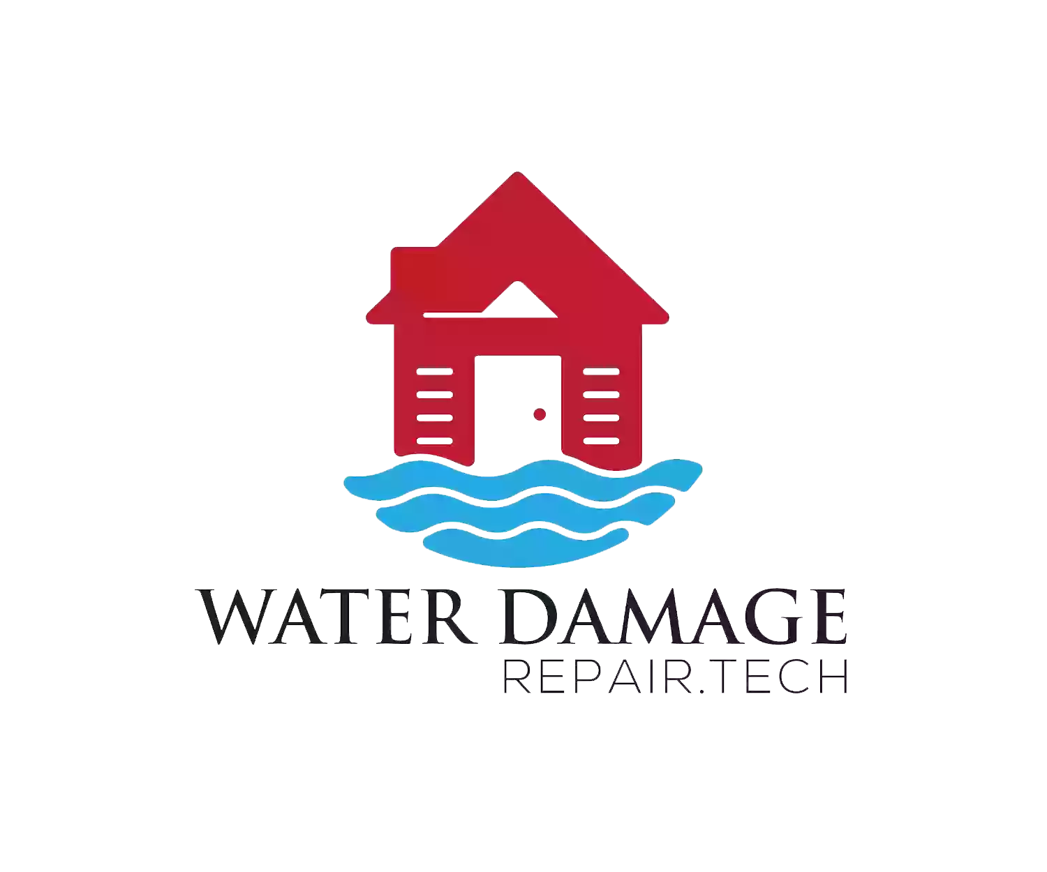 Water Damage Repair Tech