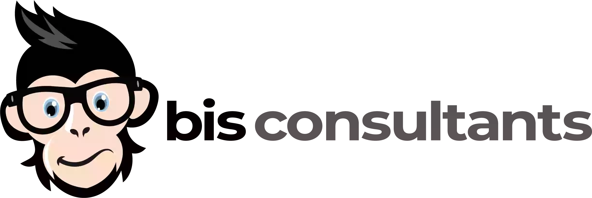 BIS Consultants