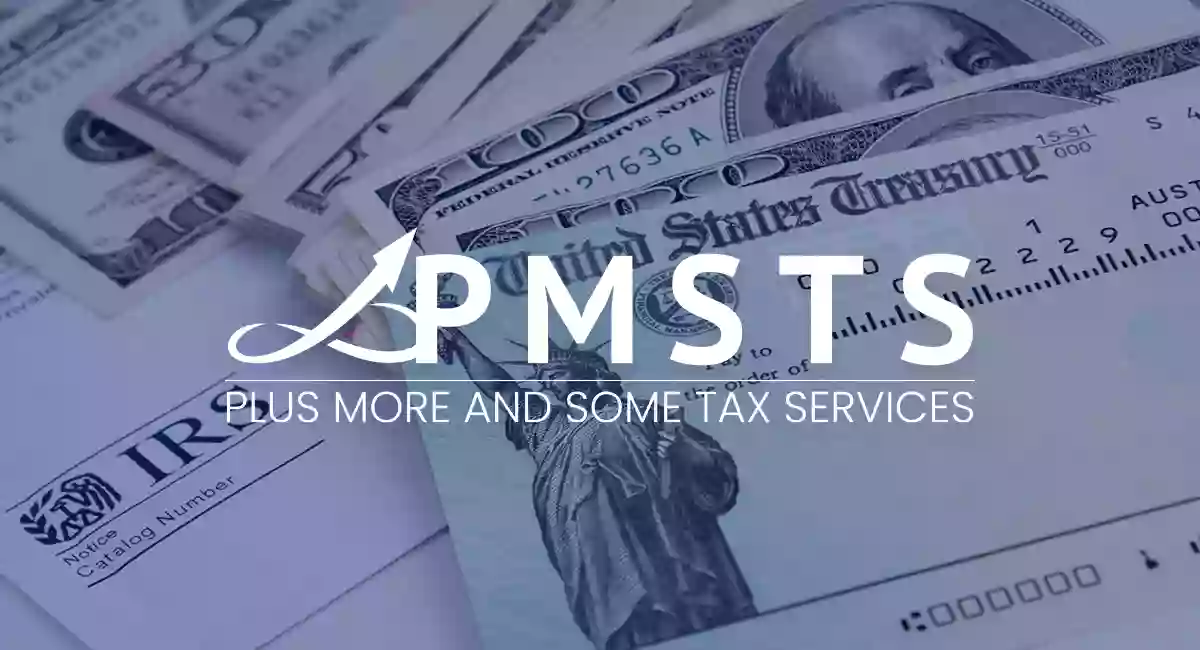 Plus More and Some Tax Services LLC