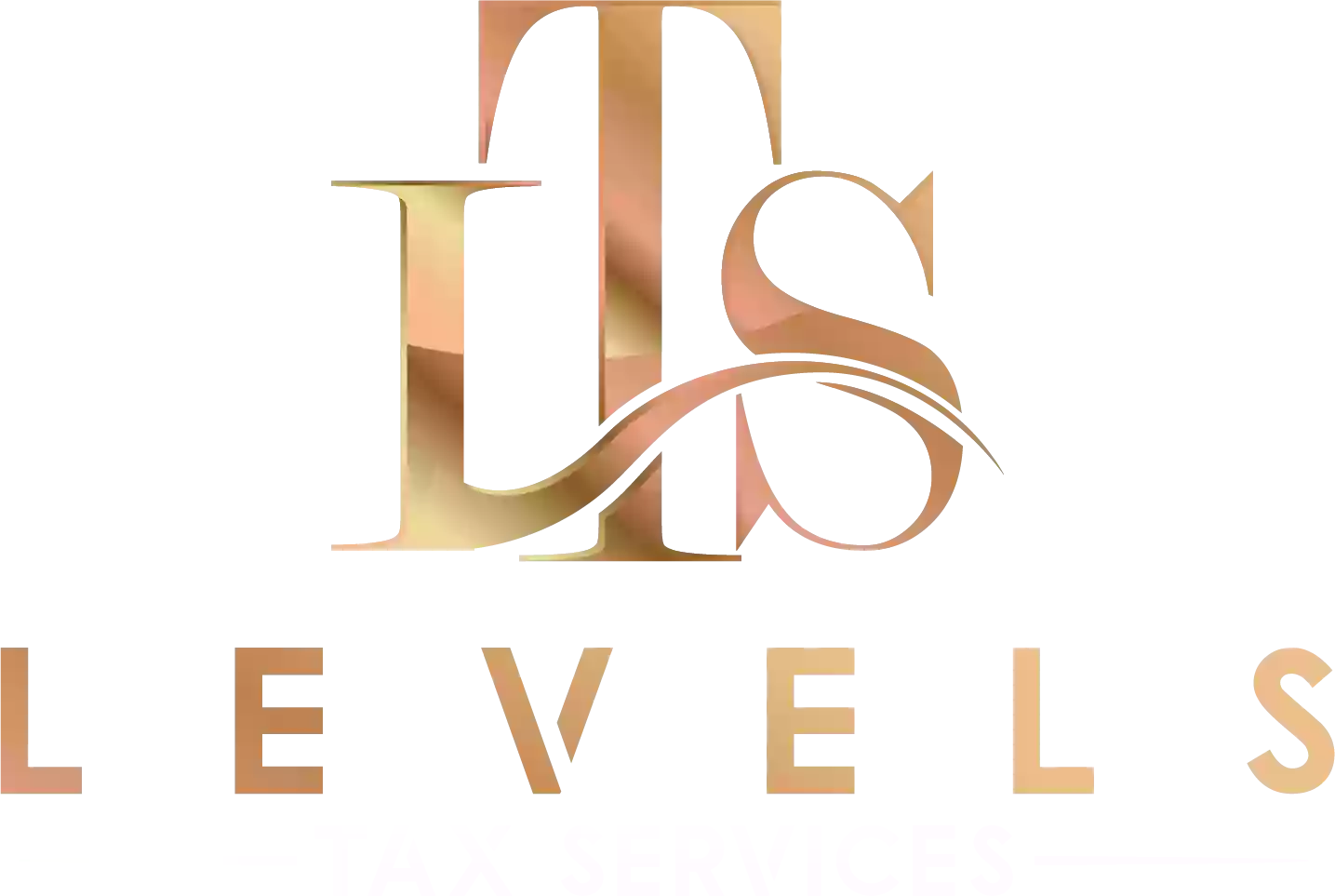 LEVELS TAX SERVICE