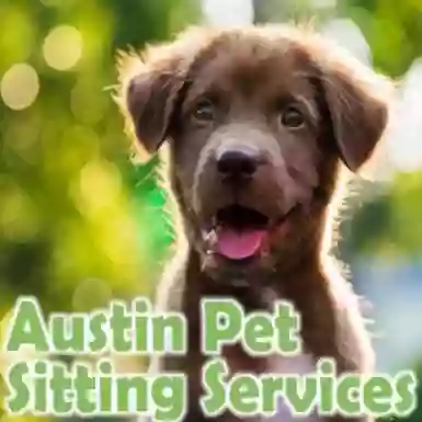 Austin Pet Sitting Services