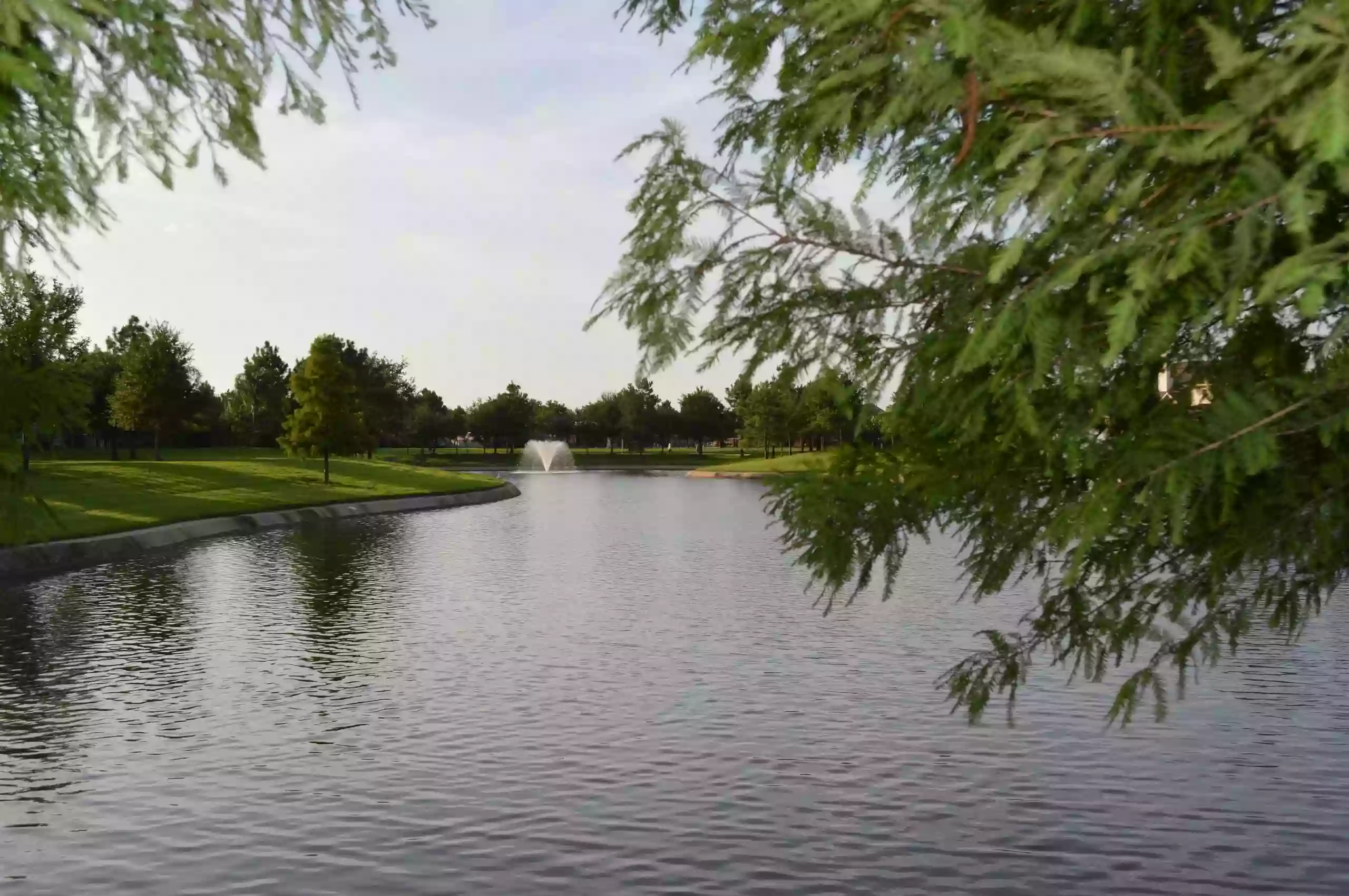 Lakes of pine forest pool