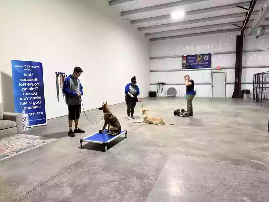 Proven K9 Training DFW