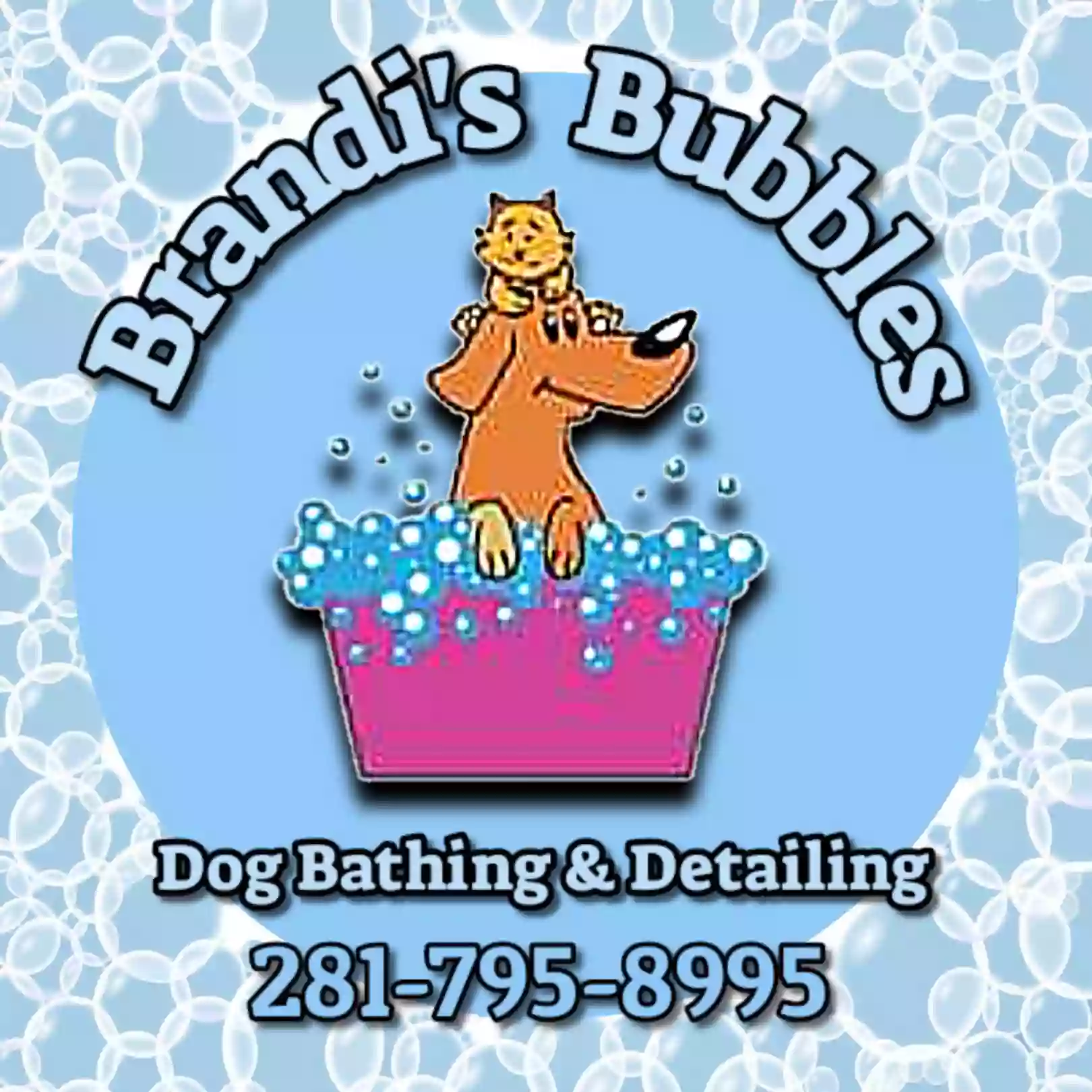 Brandi's Bubbles - Dog Bathing and Detailing