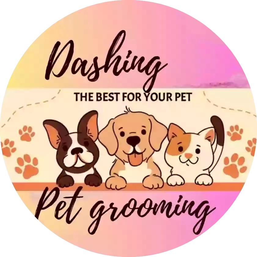 Dashing pet grooming