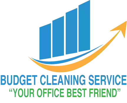 Budget Cleaning Service