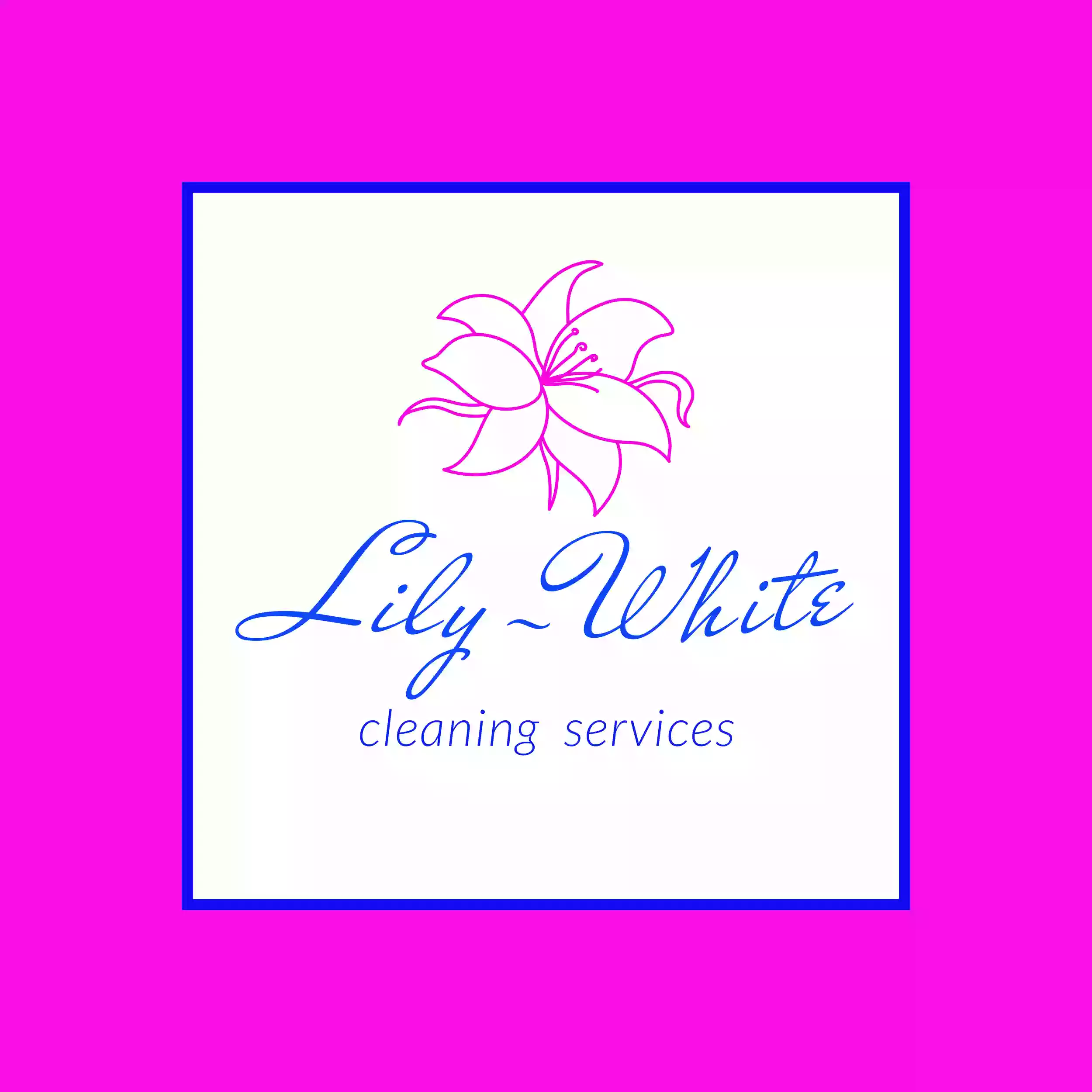 Lily-White Cleaning Services