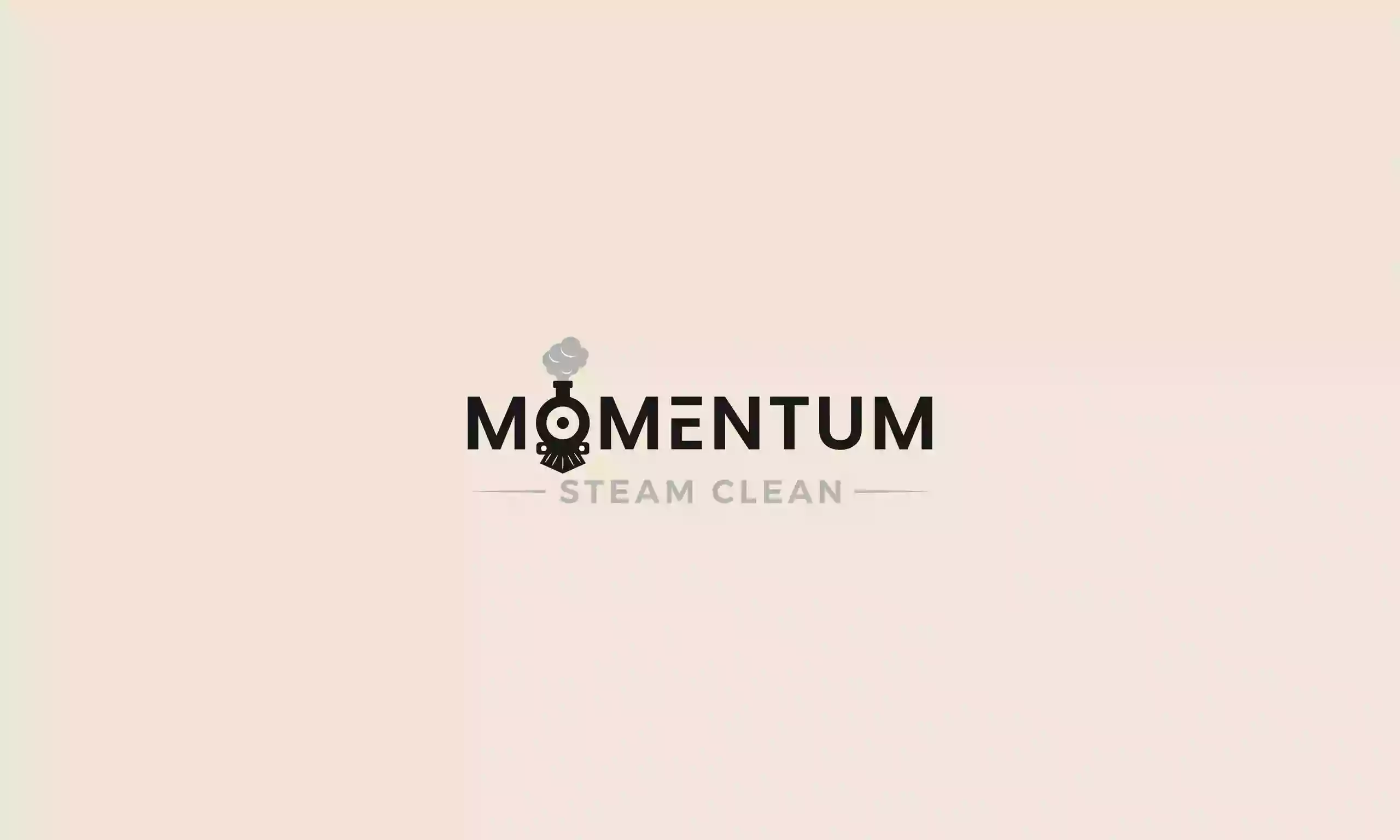 Momentum Steam Cleaning