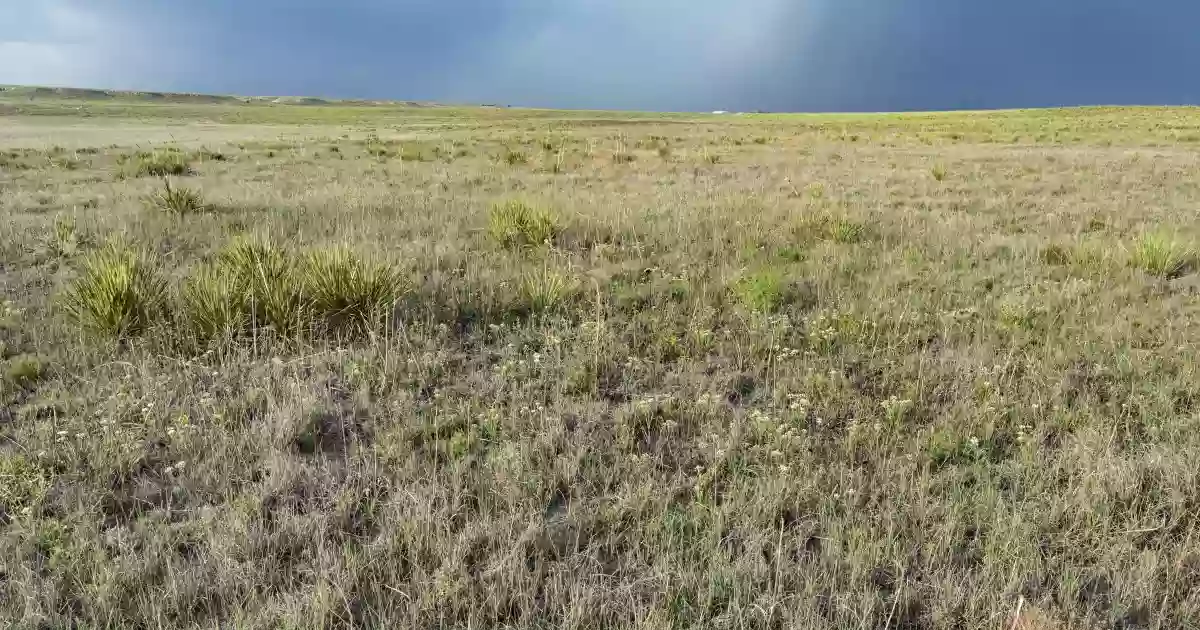 Buffalo Lake National Wildlife Refuge