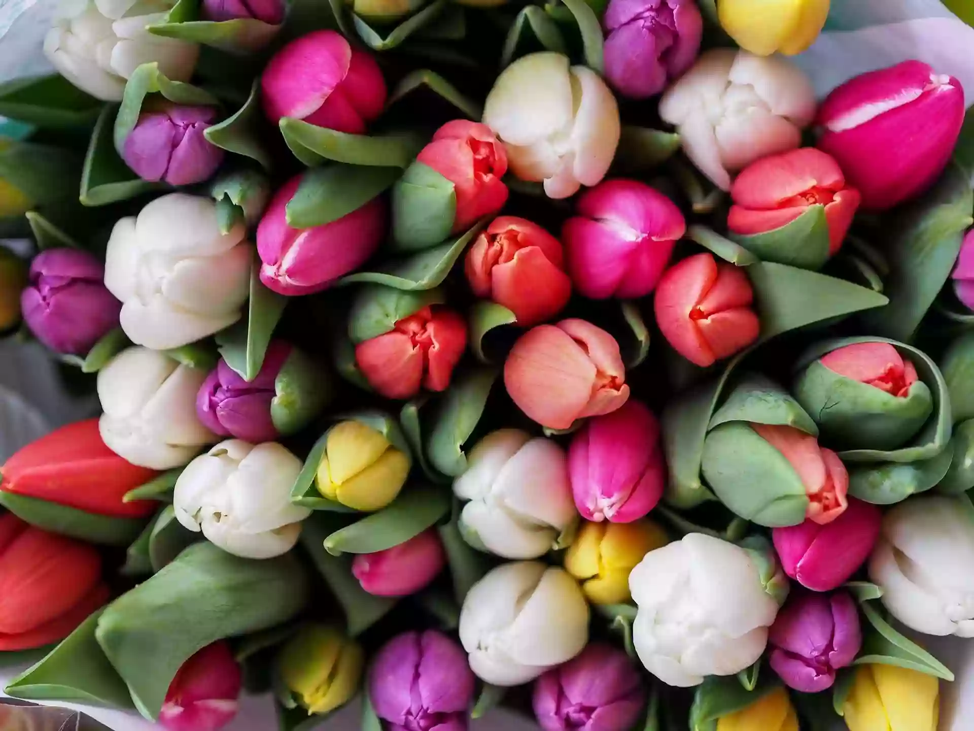 Corner Flower Market