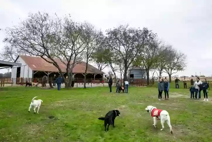 Canyon Falls Dog Park