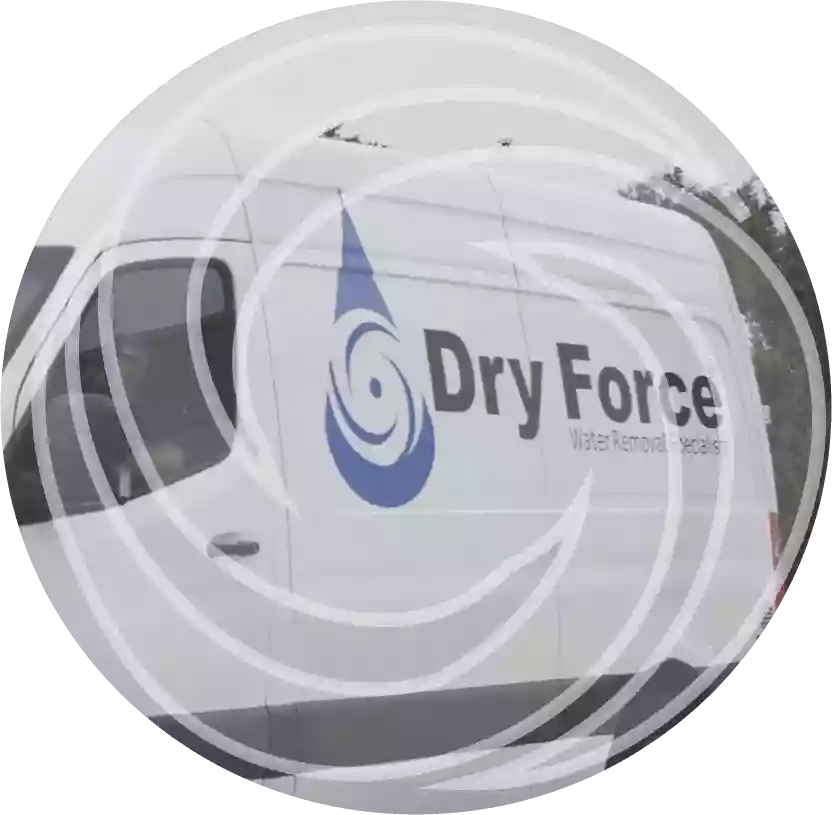 Dry Force Water Removal Specialists