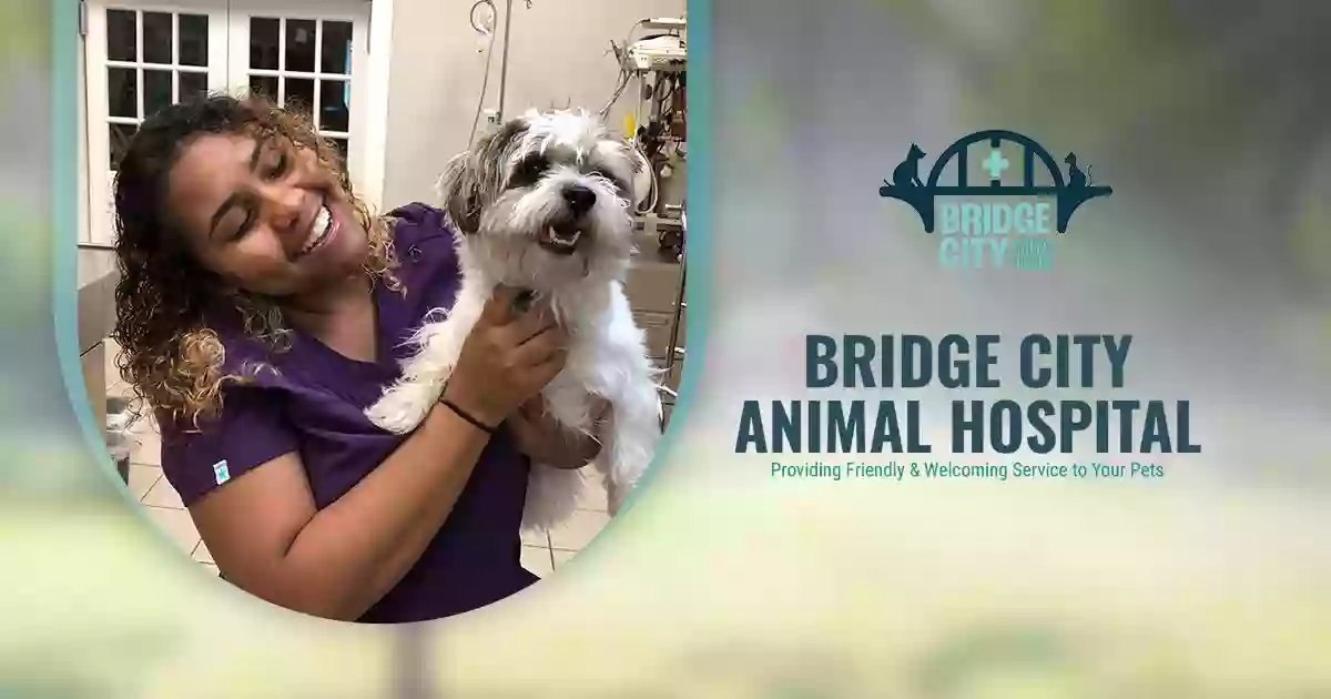 Bridge City Animal Hospital