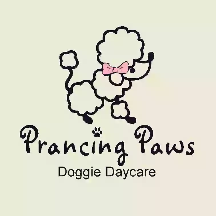 Prancing Paws Doggie Daycare