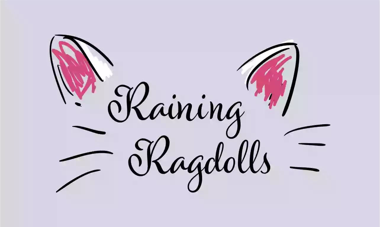 Raining Ragdolls