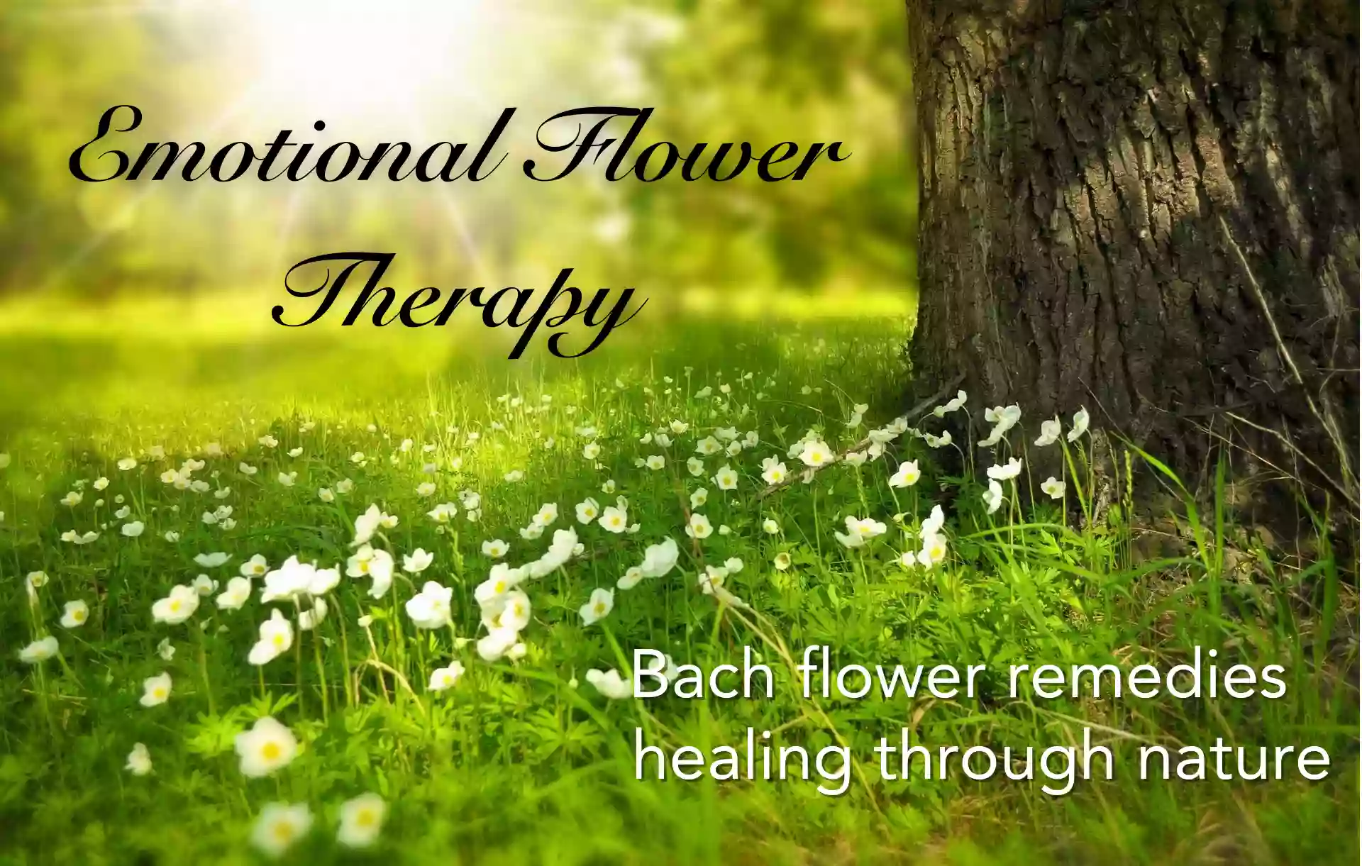 Emotional Flower Therapy