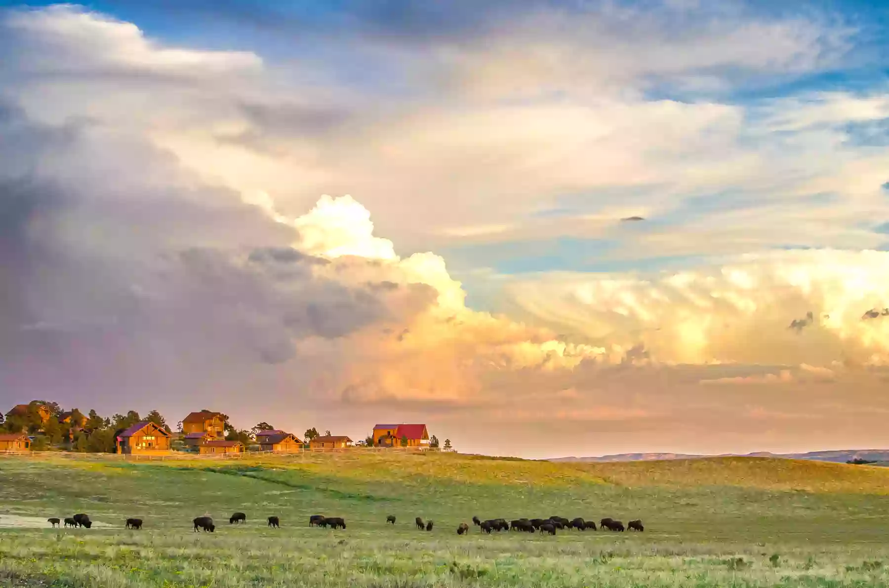 Zion Mountain Ranch